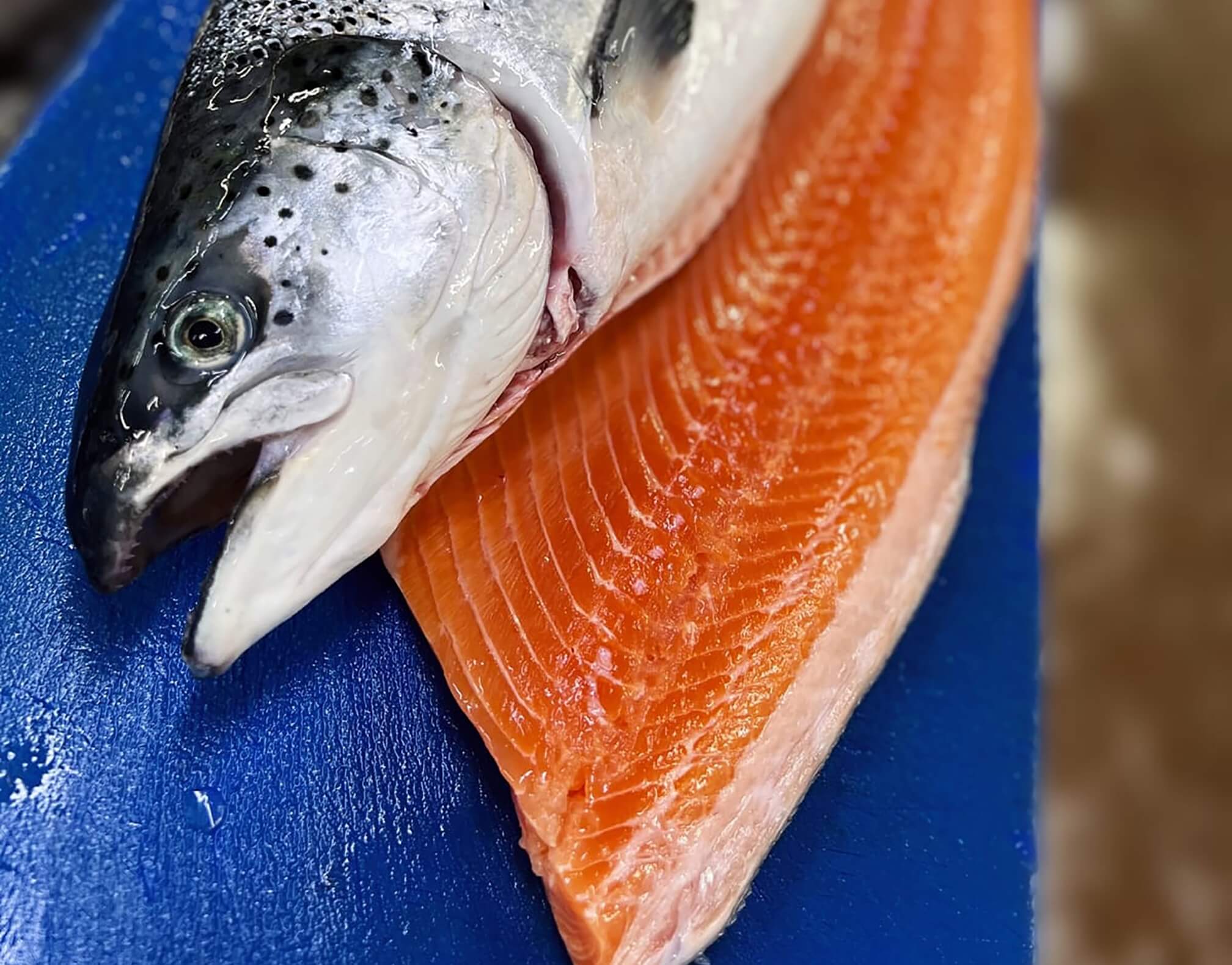 Icon for Farmed fish