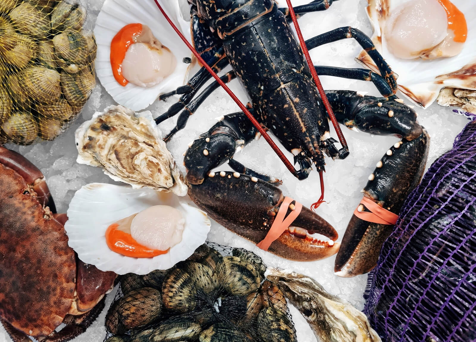 Icon for Shellfish