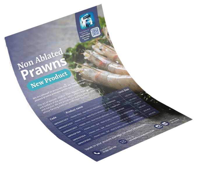 Non ablated prawns flyer