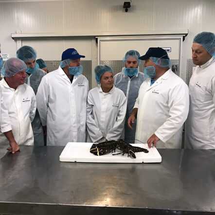 group of fishmongers getting training